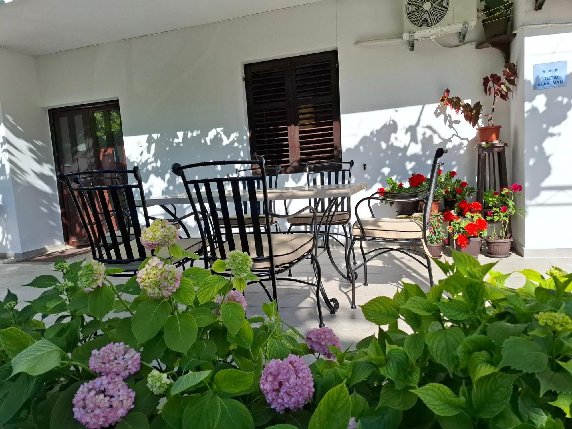 Apartment Cizek Κότορ Εξωτερικό φωτογραφία